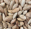 Afghani Mamra almonds roasted in-shell from Ghafori Foods — premium Afghan badam