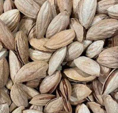 Afghani Mamra almonds roasted in-shell from Ghafori Foods — premium Afghan badam