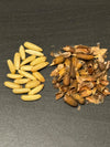Chilgoza kernels beside their cracked shells, showing what is inside each in-shell pine nut