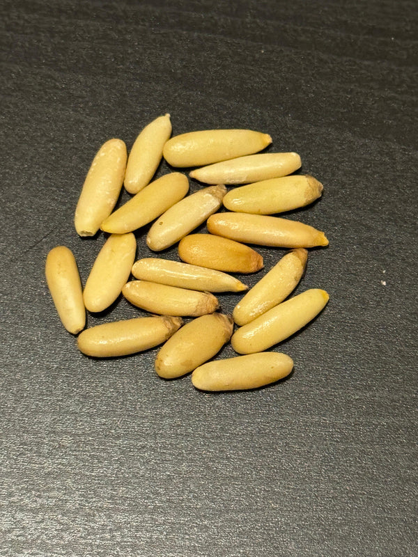 Ivory chilgoza pine nut kernels cracked from the shell, ready to eat
