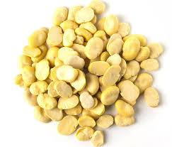 Fava Beans split dried bulk Canada | Ghafori Foods