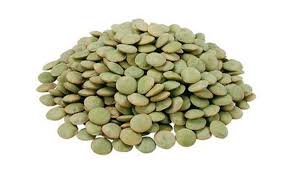 Green Lentils small Eston variety bulk Canada | Ghafori Foods