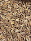 Close-up of oil-rich Mamra badam kernels, the royal Afghan almond variety, natural and unroasted