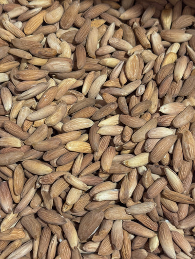 Close-up of oil-rich Mamra badam kernels, the royal Afghan almond variety, natural and unroasted