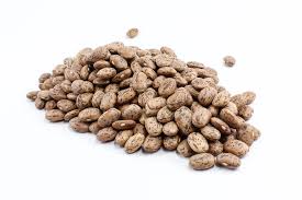 Pinto Beans dried bulk Canada | Ghafori Foods