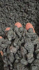 Video of Ghafori Foods sun-dried Afghan black raisins