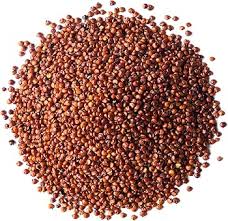Red Quinoa conventional grain bulk Canada | Ghafori Foods