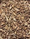 Natural raw Mamra almonds pile showing true kernel colour variation — sourced from Afghanistan, sold in Canada