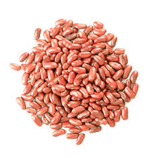 Light Red Kidney Beans dried bulk Canada | Ghafori Foods