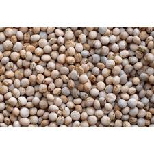 Toor Whole pigeon peas dried bulk Canada | Ghafori Foods