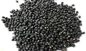Urad Gota Indian whole black gram sabut urad bulk Canada | Ghafori Foods