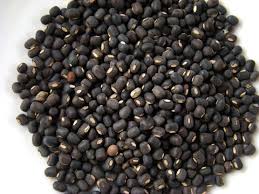 Urad Gota Regular whole black gram bulk Canada | Ghafori Foods